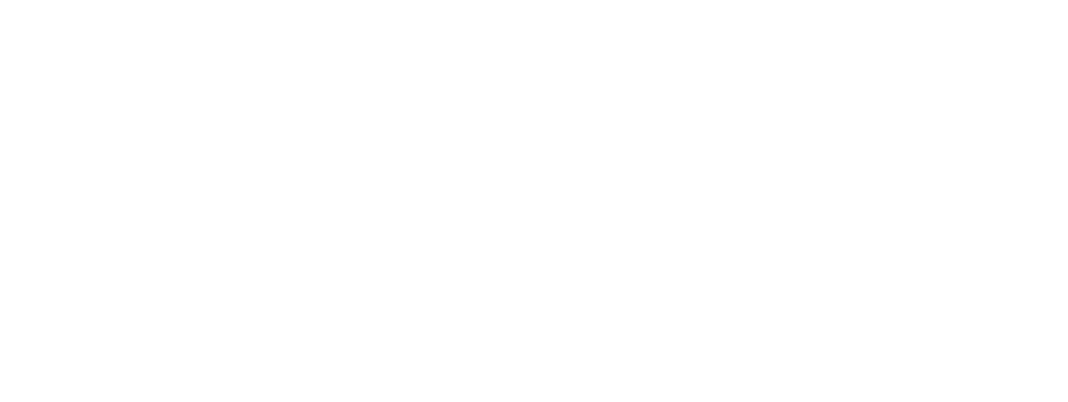 Van Dongen Buitenondernemingen