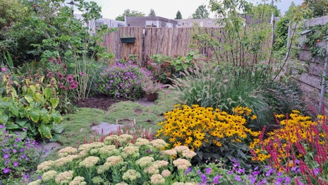 img-20240310-wa0014-high-m4o7ml