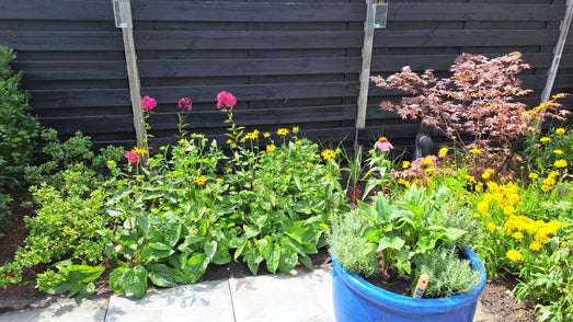 img-20240310-wa0021-high-57md68