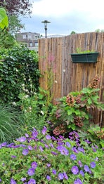 img-20240912-wa0030-high-usz49d